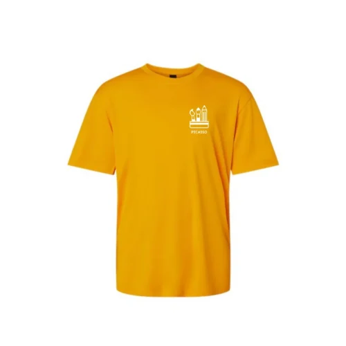 T-Shirt Dryfit Adulte - Picasso